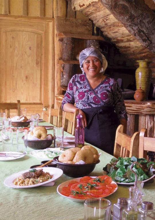 Hospedaje Y Agrocamping Relmucura ميليبيويكو المظهر الخارجي الصورة